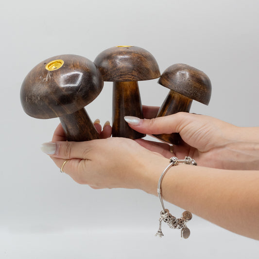 Set of 3 Incense Cone Mushrooms
