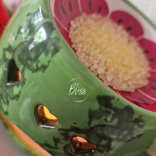 Watermelon Warmer & Citronella Simmering Granules